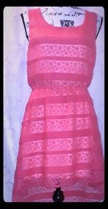 Trixxy NWT  Sz.. XL Dress